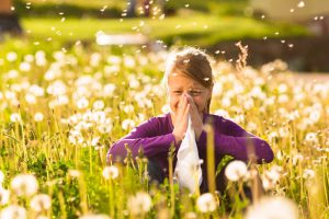 Austin Allergy - Hay Fever