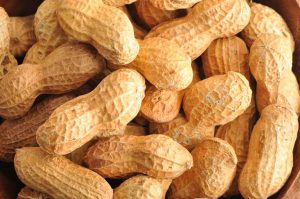 Austin Allergy - Introducing Peanuts to Infants